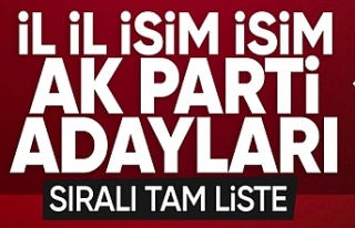 Türkiye yerel seçime gidiyor! AK Parti'nin...