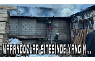 Tuşba'daki marangozlar sitesinde yangın çıktı