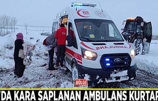 Van'da kara saplanan ambulans kurtarıldı