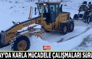 Saray’da karla mücadele çalışmaları sürüyor