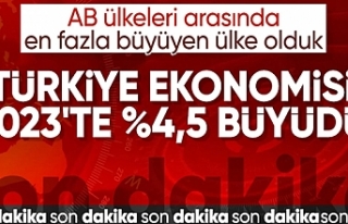 TÜİK açıkladı! Türkiye ekonomisi 2023’te yüzde...