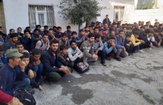 İpekyolu'nda 140 göçmen yakalandı