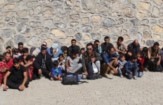 Başkale'de 41 kaçak göçmen yakalandı