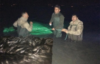 Van'da 7 ton kaçak avlanan balık ele geçirildi