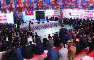 AK Parti Van İl Başkanlığından temayül yoklaması...