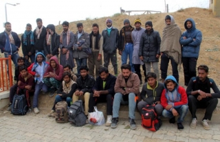 Başkale'de 57 düzensiz göçmen yakalandı