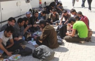 Başkale'de 14 kaçak göçmen yakalandı