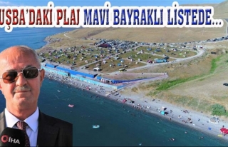 Tuşba'daki plaj, mavi bayrağını korudu