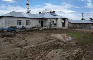 Muradiye'de sel 16 eve hasar verdi