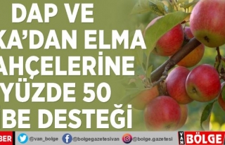 DAP ve DAKA'dan elma bahçelerine yüzde 50 hibe...