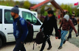 5 İlçede 251 düzensiz göçmen yakalandı 