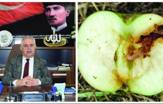 Müdür Görentaş'tan elma üreticisine uyarı 