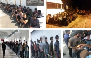 Van'ın üç ilçesinde 267 göçmen yakalandı