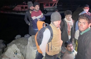 Van'dan Bitlis'e geçmeye çalışan 22 göçmen yakalandı