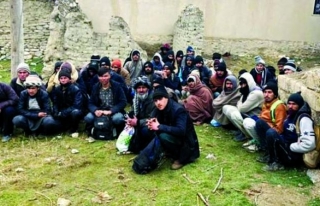 Gürpınar'da 55 kaçak göçmen yakalandı 