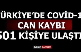 Türkiye'de Covid-19 can kaybı: 501
