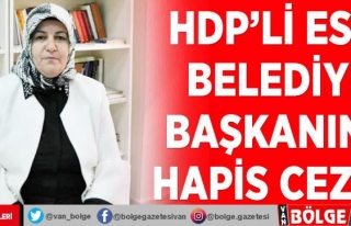 HDP'li eski belediye başkanına hapis cezası