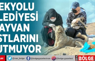 İpekyolu Belediyesi hayvan dostlarını unutmuyor