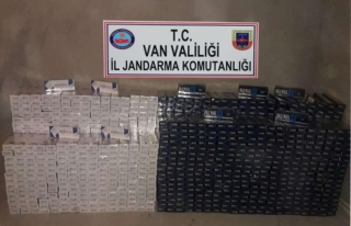 Jandarma 25 bin paket kaçak sigara ele geçirdi