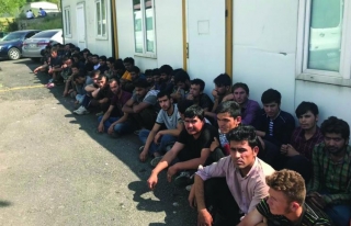 Van'da 77 kaçak göçmen yakalandı 