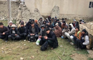Gürpınar'da 163 kaçak göçmen yakalandı
