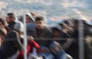 Başkale'de 49 göçmen yakalandı