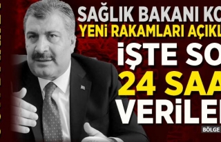 Türkiye'de son 24 saatte 15 can kaybı yaşandı