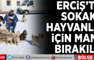 Erciş'te sokak hayvanları için mama bırakıldı