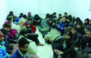 Erciş ve Özalp'ta 85 kaçak göçmen yakalandı