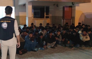 Van'da 63 kaçak göçmen yakalandı