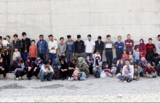 Başkale'de 74 düzensiz göçmen yakalandı