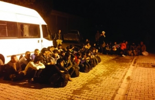 Van'da 125 kaçak şahıs yakalandı 