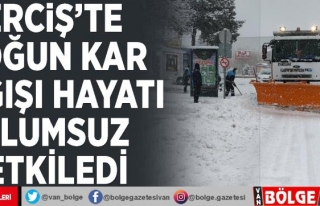 Erciş'te yoğun kar yağışı hayatı olumsuz...