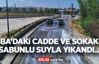 Tuşba'daki cadde ve sokaklar sabunlu su ile yıkandı
