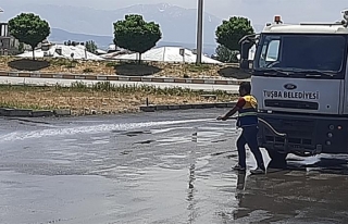 Tuşba'daki yollar ilaçlı suyla dezenfekte ediliyor