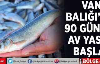 Van Balığı'nın 90 günlük av yasağı başladı