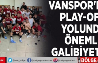 Vanspor'dan play-off yolunda önemli galibiyet:1-2