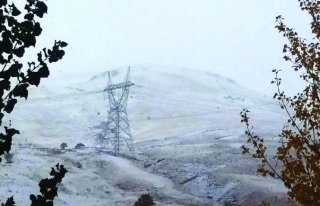 Erek Dağı'na yılın ilk karı düştü