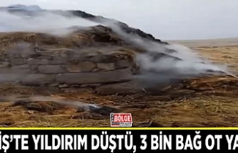 Erciş’te yıldırım düştü, 3 bin bağ ot yandı
