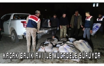 Muradiye'de kaçak avlanmış 1 ton 800 kilo balık ele geçirildi