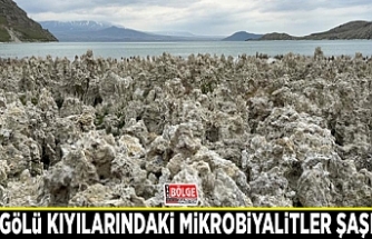 Van Gölü kıyılarındaki mikrobiyalitler şaşırttı