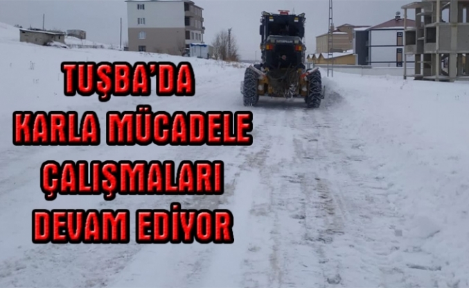 Tuşba'da karla mücadele çalışmaları sürüyor